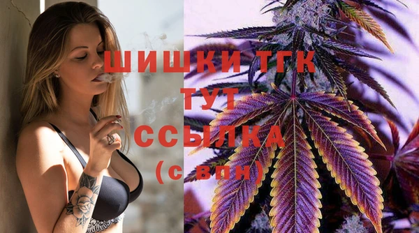 соль ск Няндома