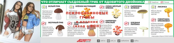 соль ск Няндома