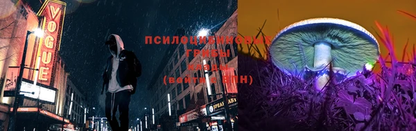 ECSTASY Осинники